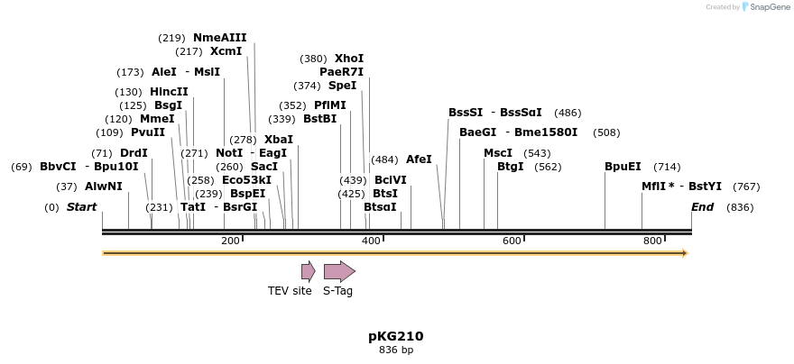 129093_map