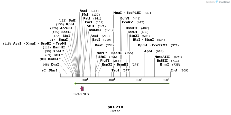 129097_map