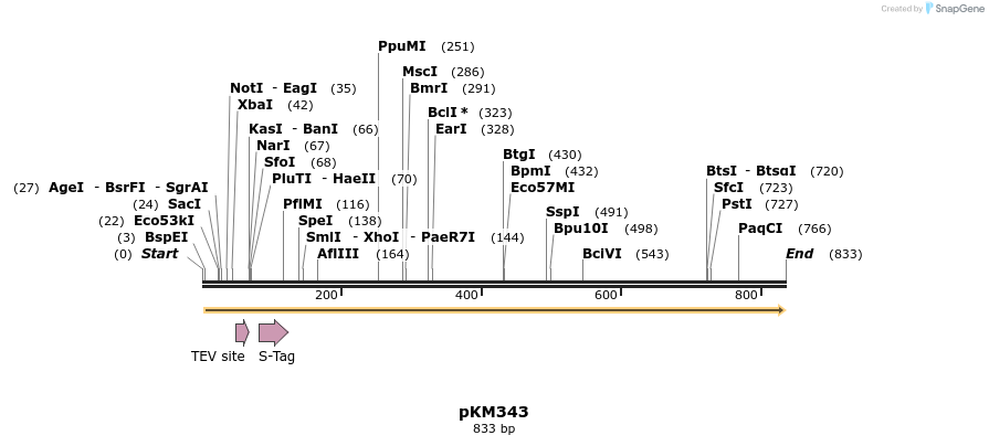 129098_map