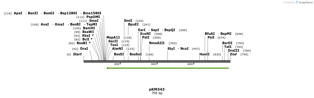129099_map
