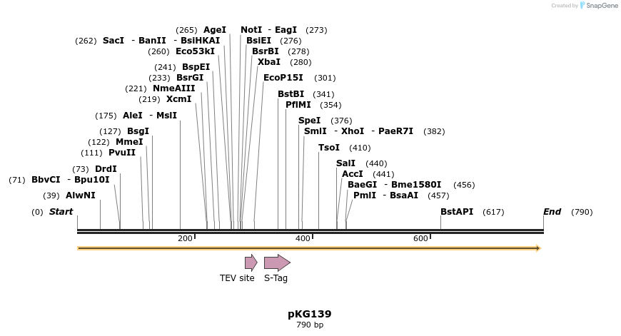 129103_map