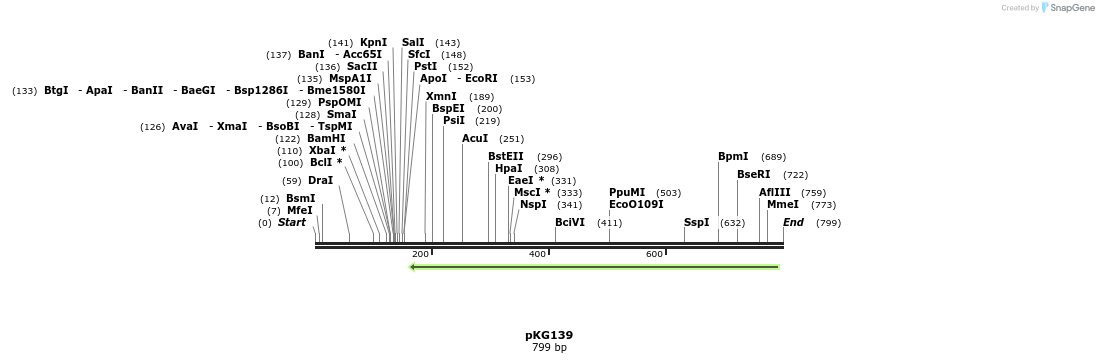 129105_map