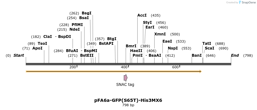 129107_map