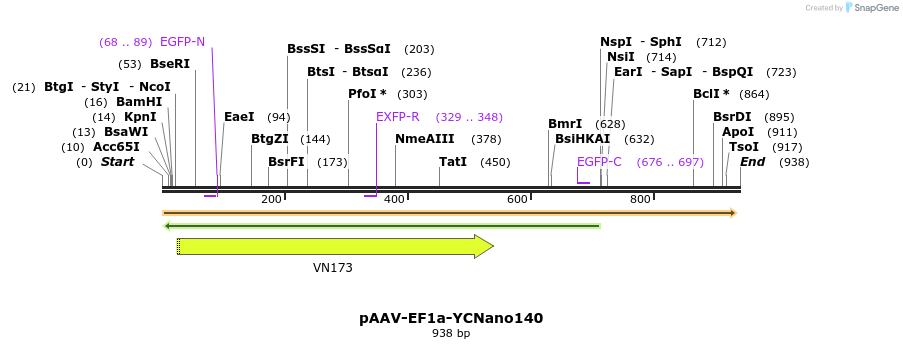 129112_map