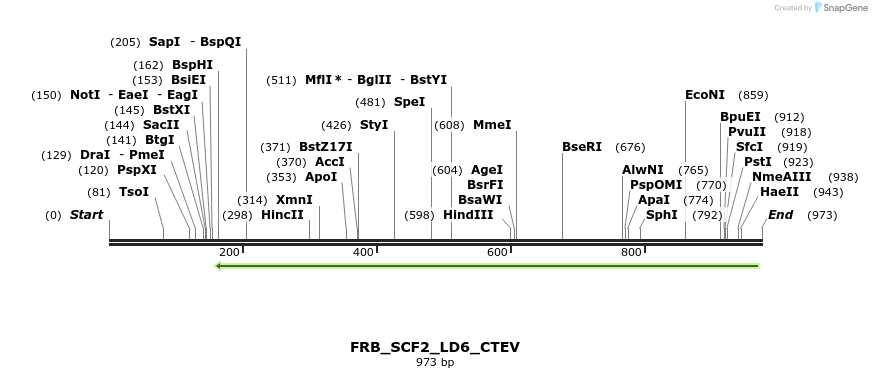 129116_map