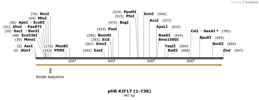129118_map