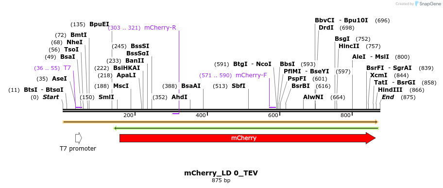 129119_map