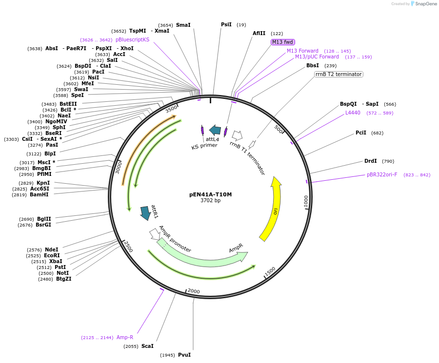 27365-plasmid-map-sequence-id-12912