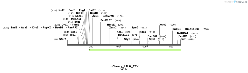 129120_map