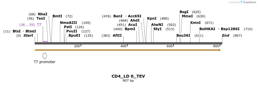 129121_map