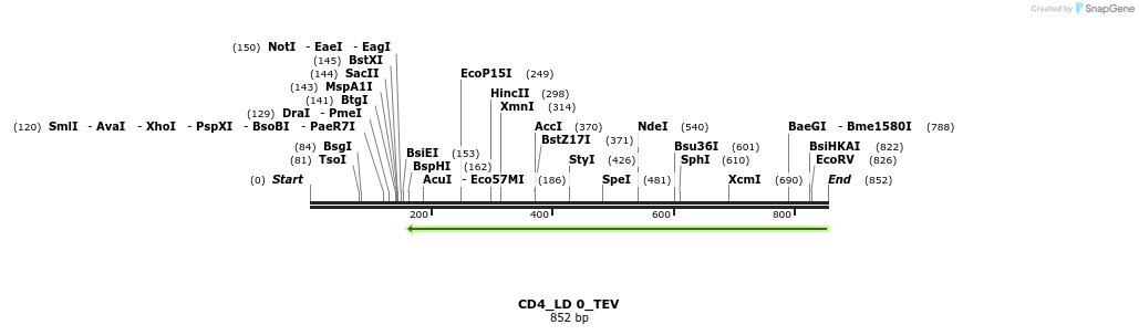 129122_map
