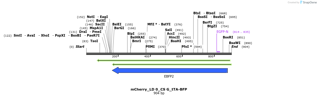129124_map