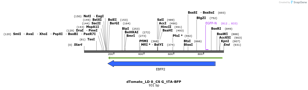 129126_map