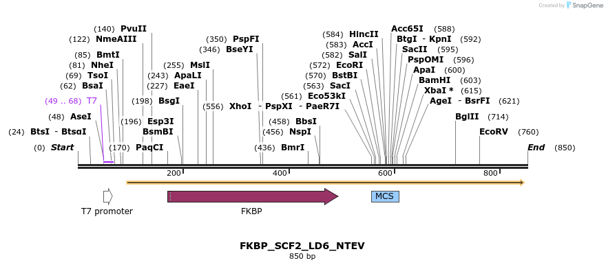 129127_map