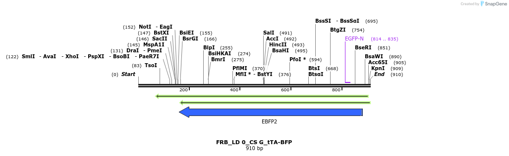 129130_map