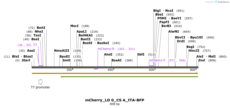 129132_map
