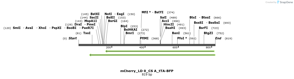 129133_map