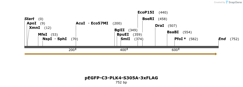129135_map