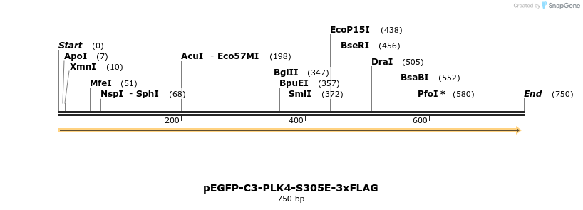 129137_map