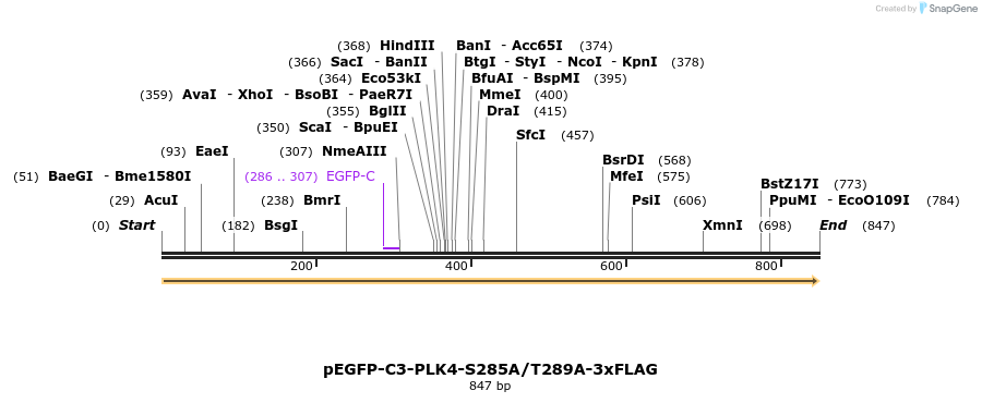 129138_map