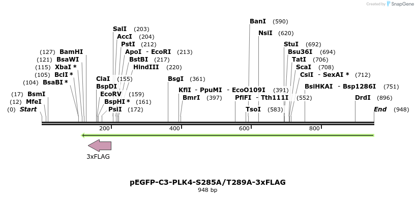 129139_map