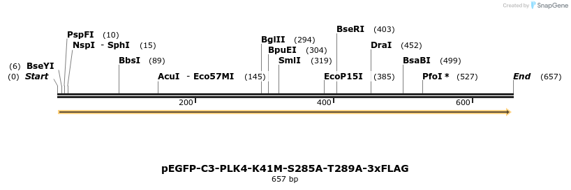129141_map