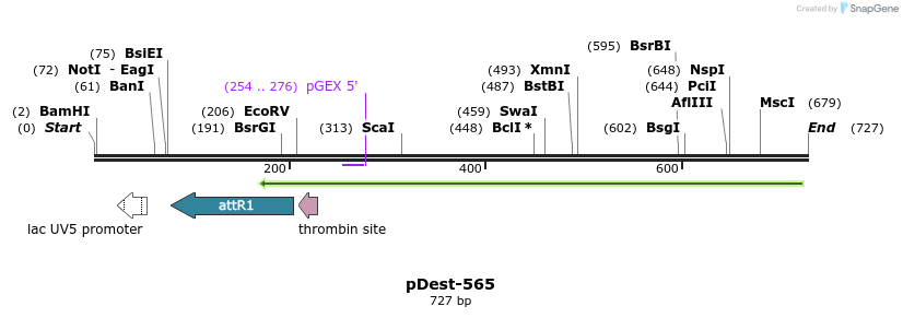 129143_map