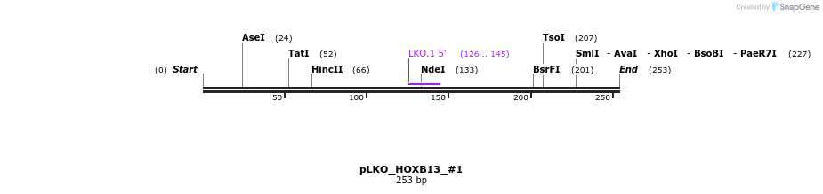 129144_map