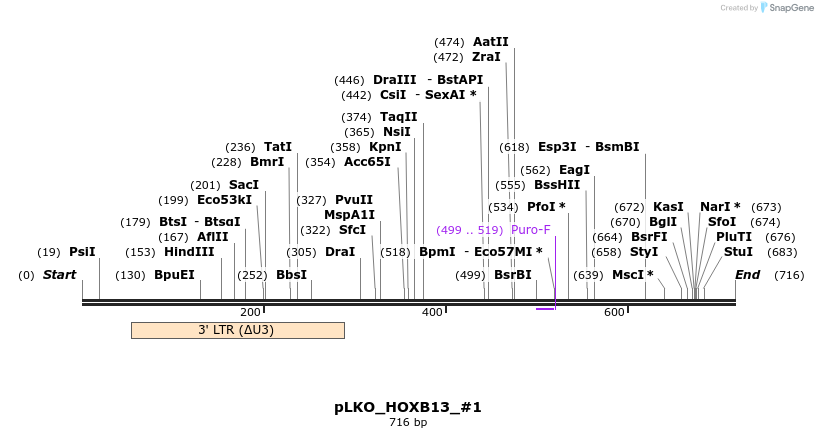 129145_map