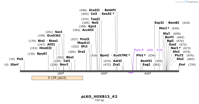 129146_map
