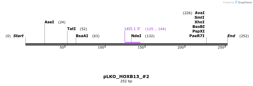129147_map