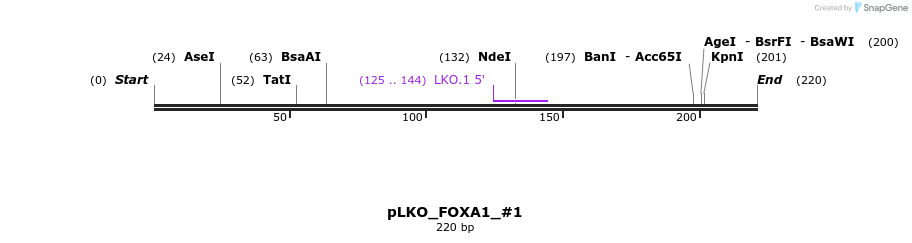 129149_map