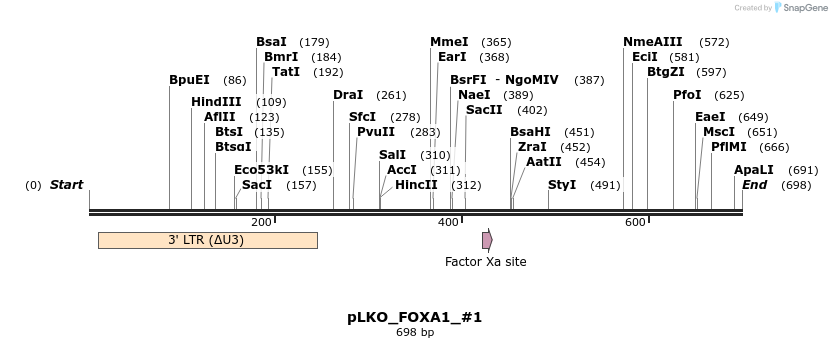 129151_map