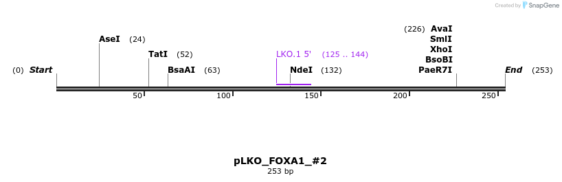 129154_map