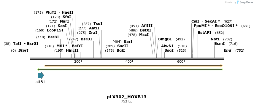 129156_map