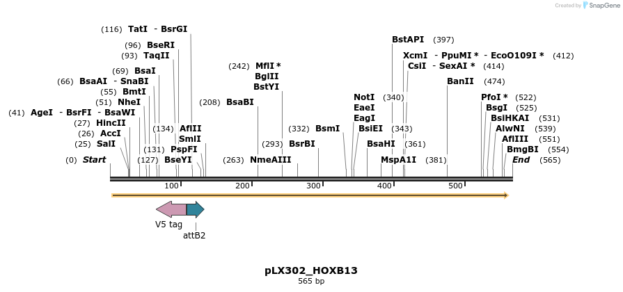 129158_map