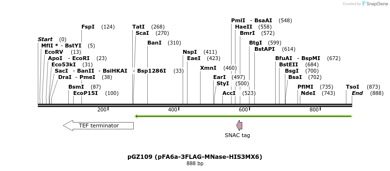 129165_map