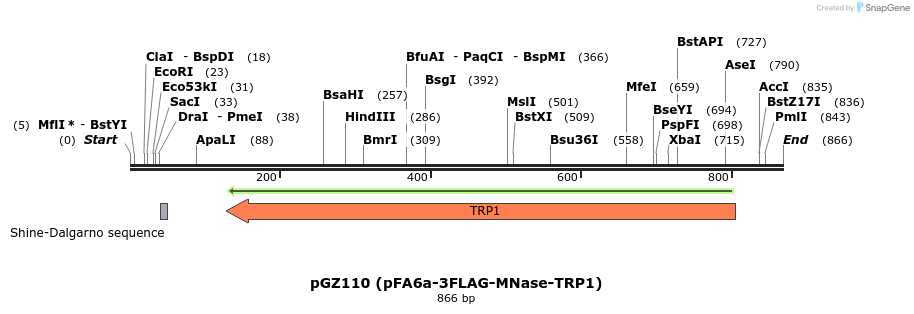 129167_map