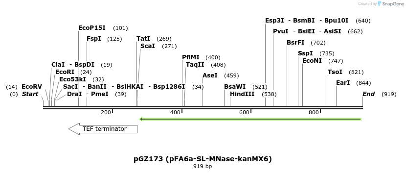 129172_map