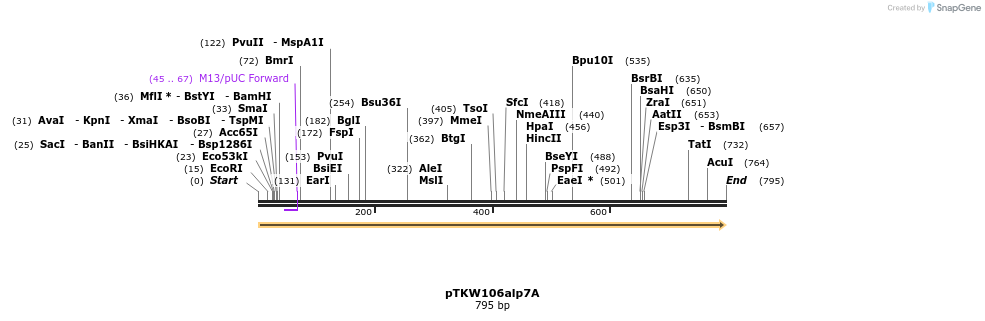 129174_map