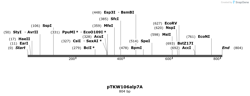 129175_map