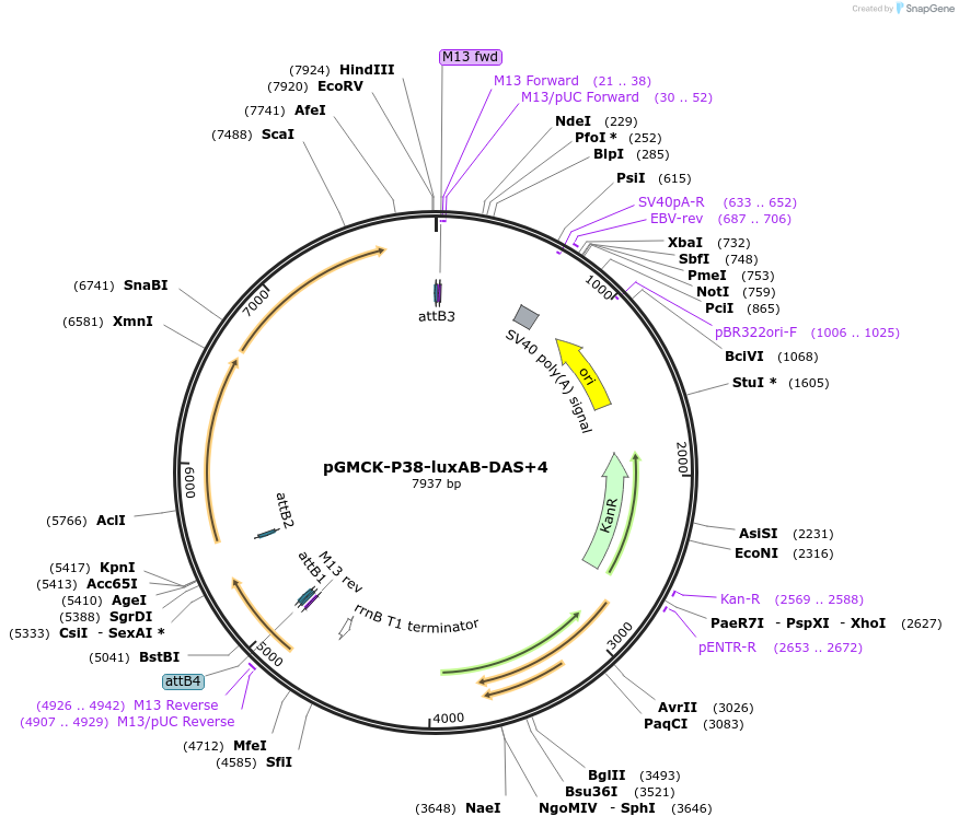 12918_map