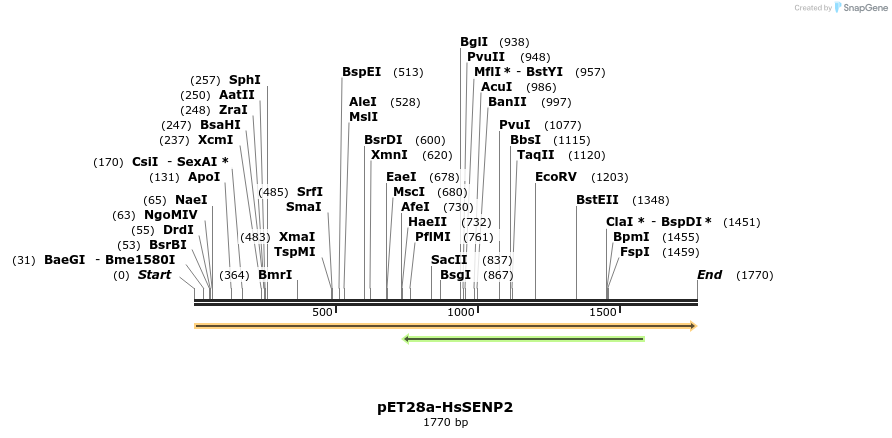 129180_map