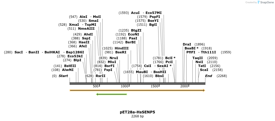 129181_map