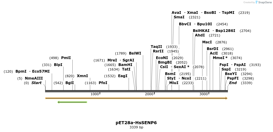 129182_map