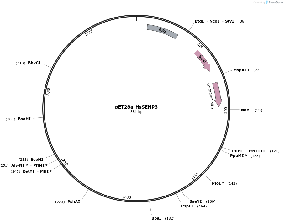 71467-plasmid-map-sequence-id-129183