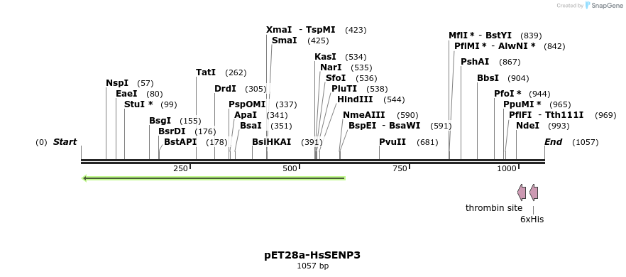 129184_map