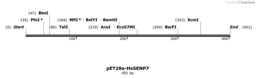 129188_map
