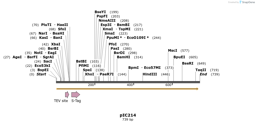 129202_map
