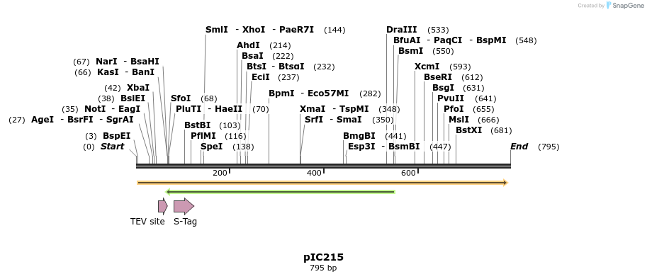 129204_map